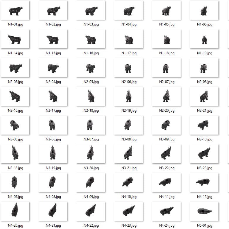 Rhino Hemispherical Overview