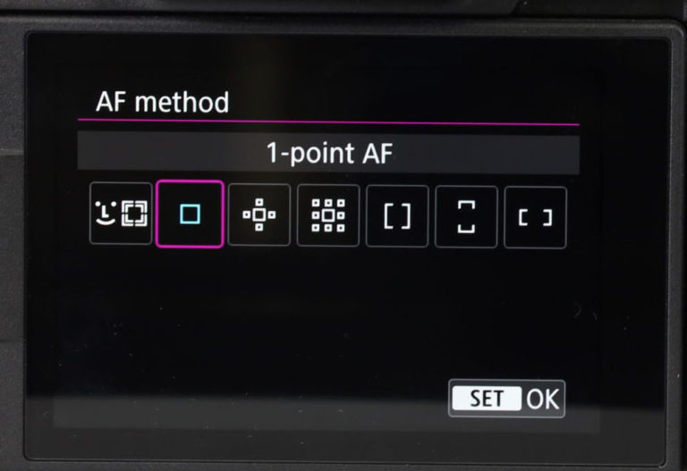 Canon Mirrorless Camera Settings Ortery Software
