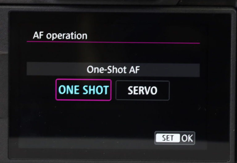 Canon Mirrorless Camera Settings Ortery Software