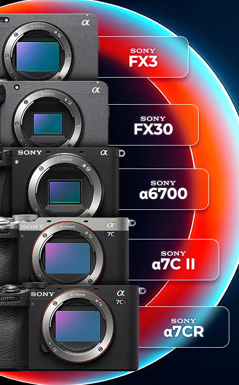 v24-Compatible-Cameras