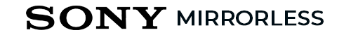 Sony Mirrorless